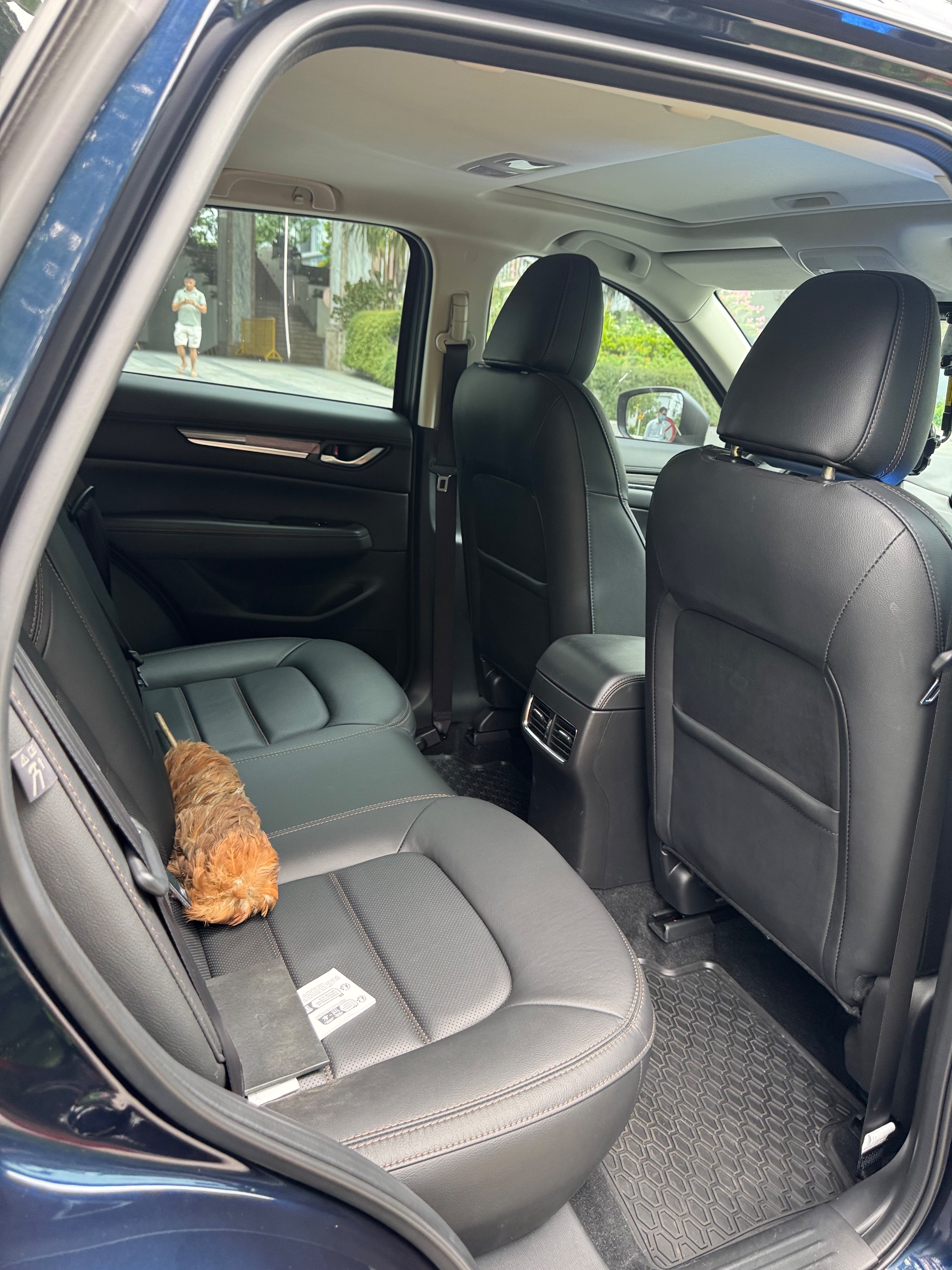 Mazda Cx5 2.0AT Premium Active 2023 - Ngoại thất 15