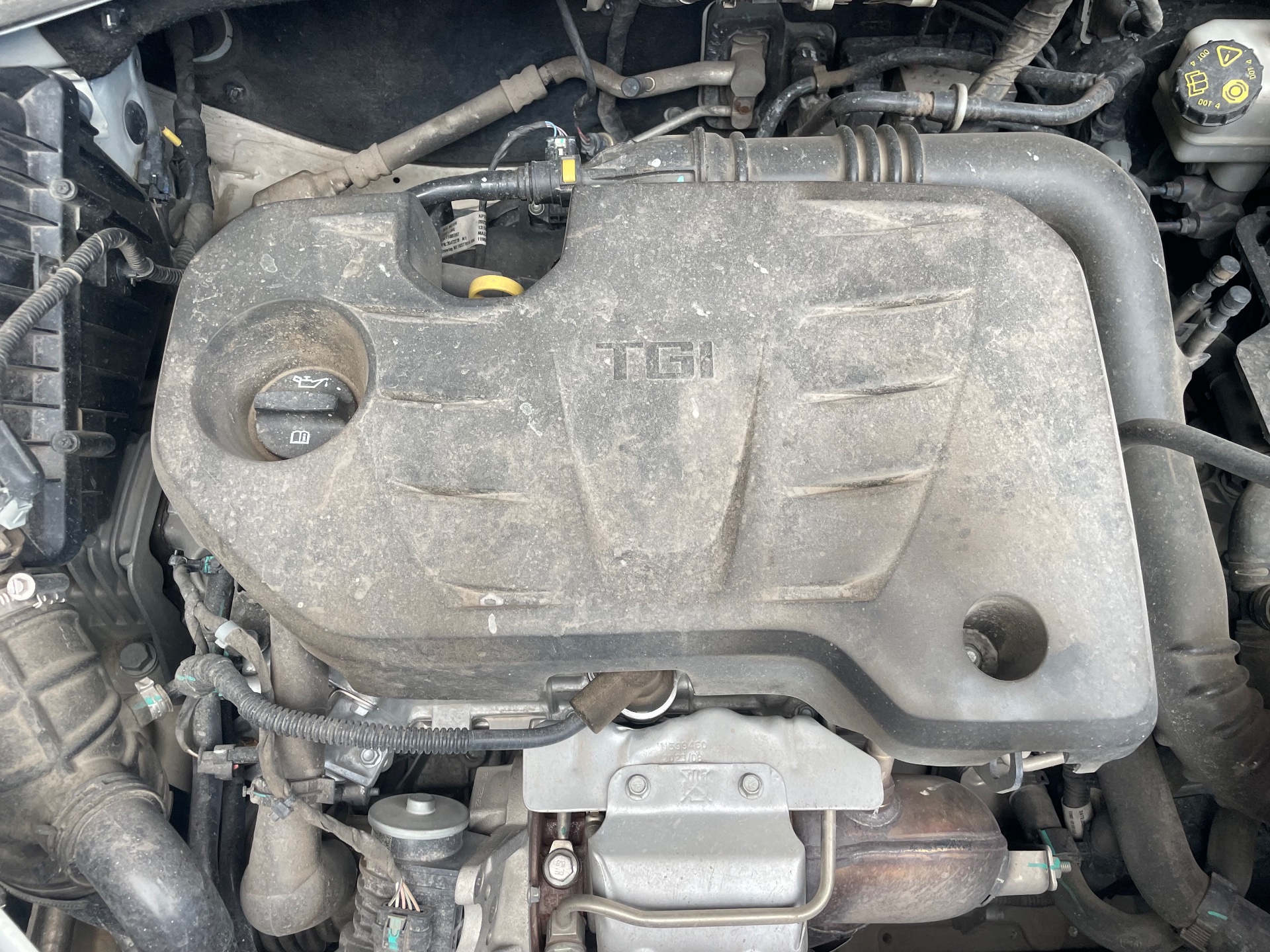 MG Rx5 1.5T STD 2024 - Ngoại thất 13