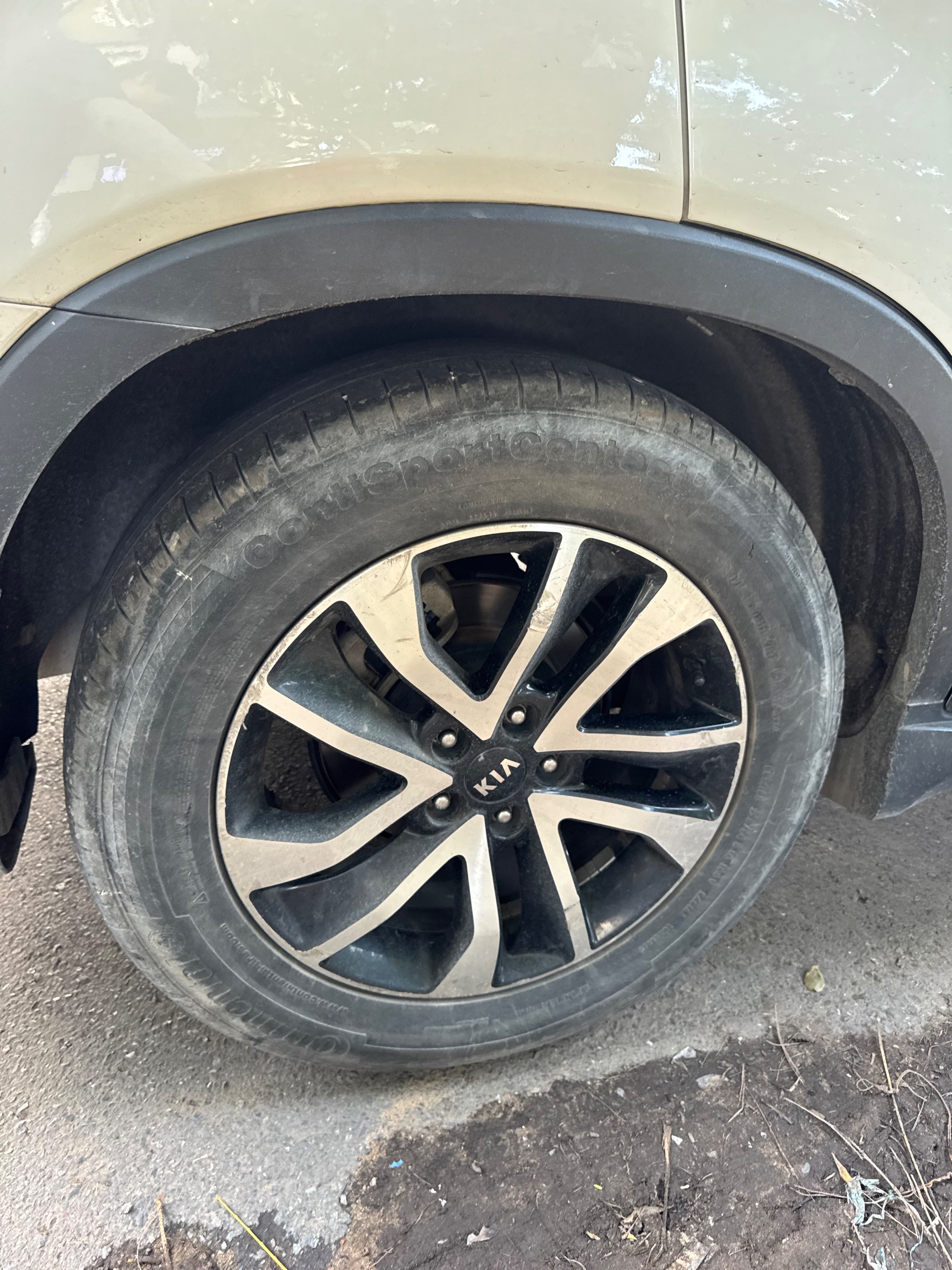 Kia Sorento 2.4 GAT Premium 2019 - Ngoại thất 10