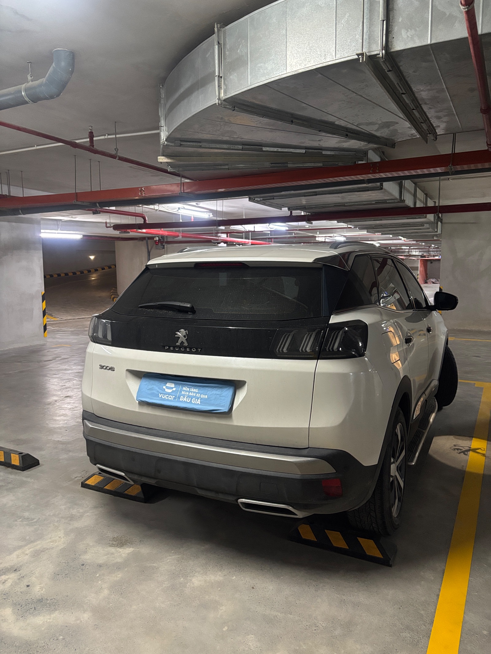 Peugeot 3008 Tự động 2022 - Ngoại thất 14