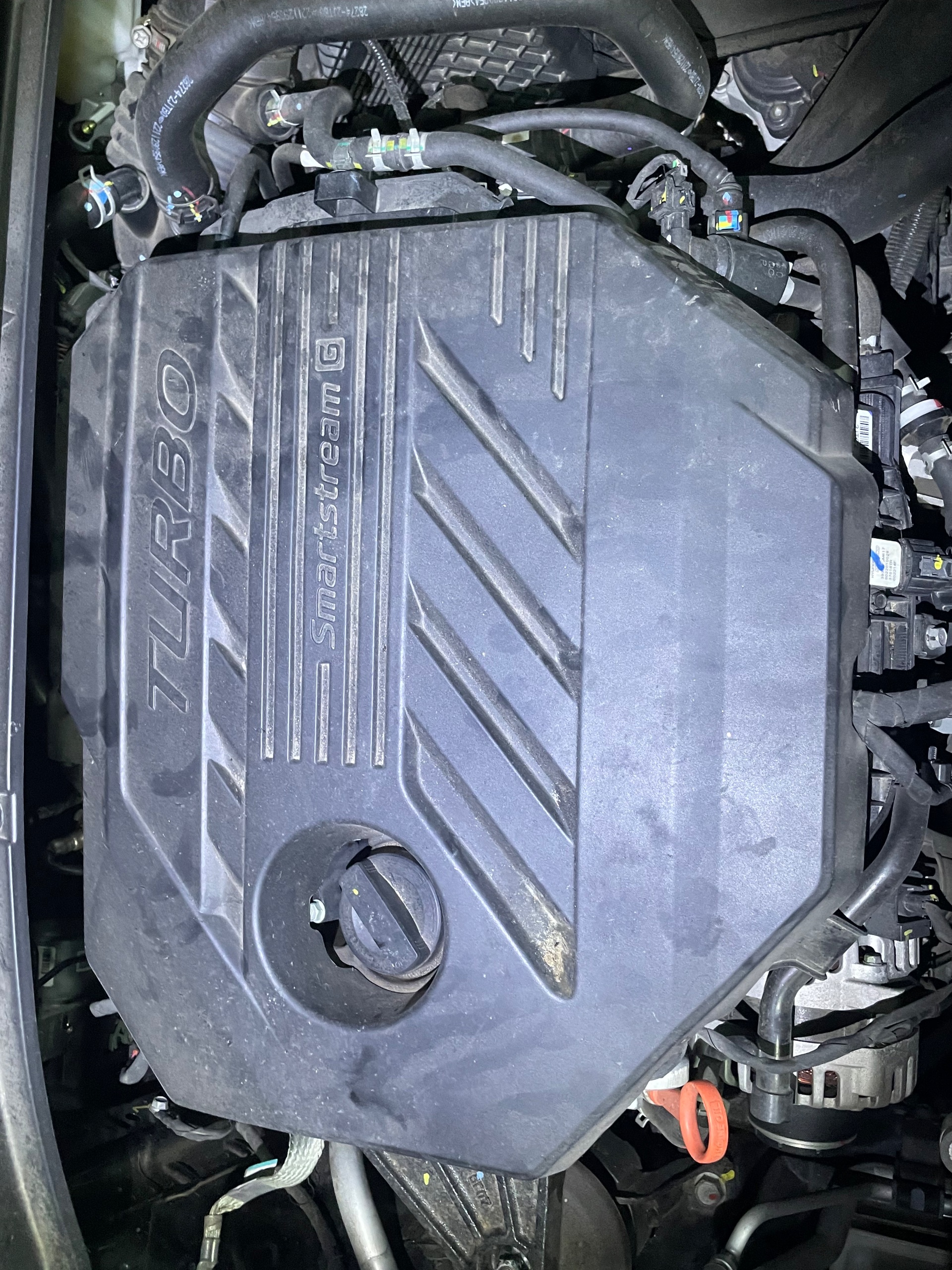 Hyundai Custin Cao cấp 2.0T 2024 - Ngoại thất 8