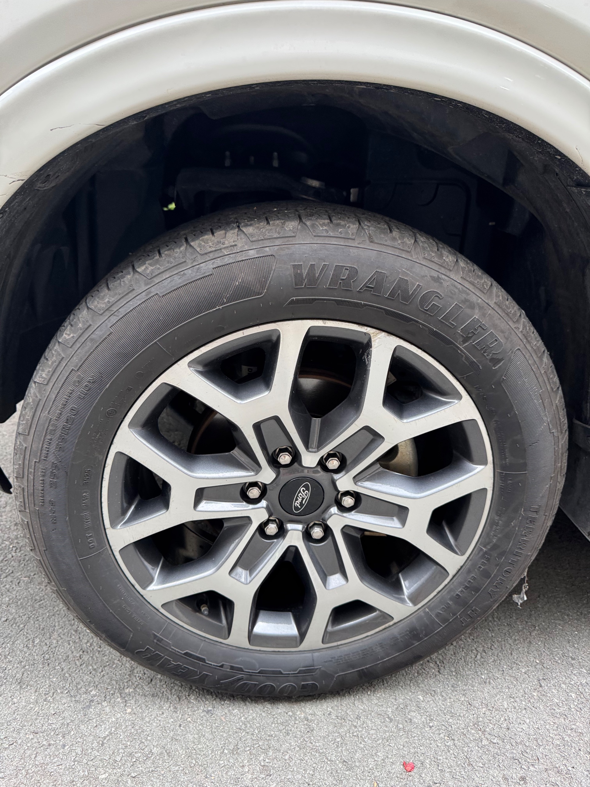 Ford Everest Platinum 2.0L 4x4 AT 2024 - Ngoại thất 15