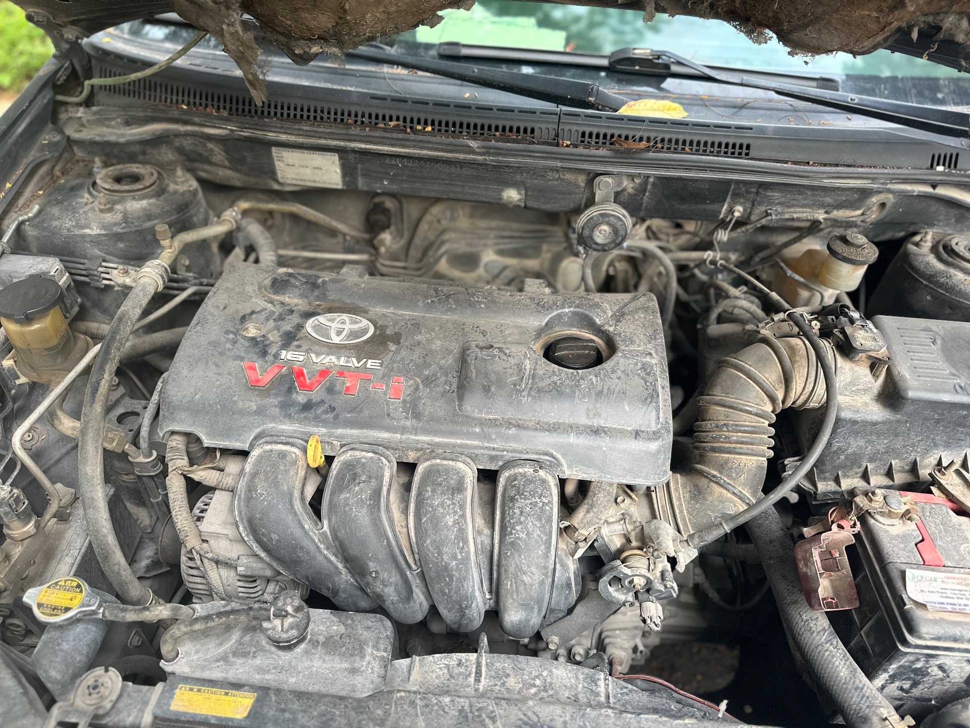 Corrola Altit Corolla  2008 - Ngoại thất 4